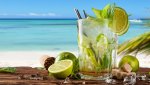 Lime_Mojito_Cocktail_Summer_Highball_glass_527311_3840x2160-minmeşe.jpg